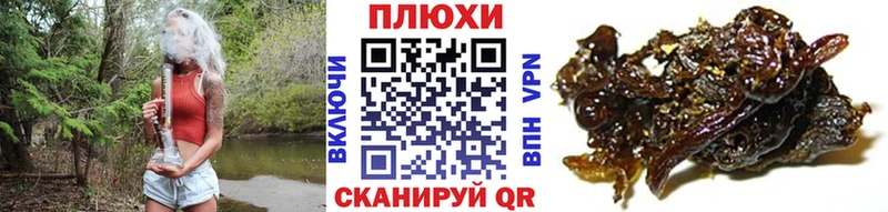 где купить Анива Гашиш hashish
