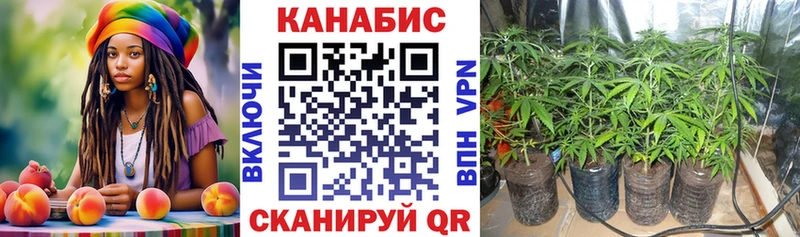 цена   Анива  дарк нет формула  Марихуана SATIVA & INDICA 